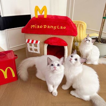 貓窩四季通用可拆洗封閉式泰迪小型犬貓別墅貓窩冬季保暖工廠批發