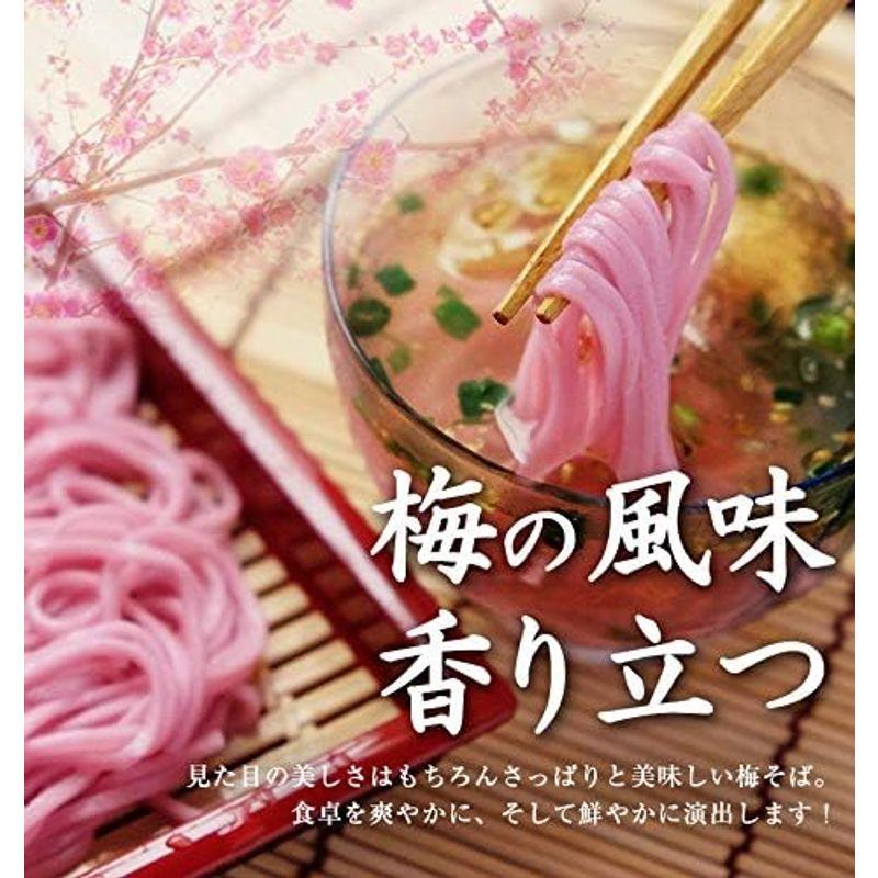 ふみこ農園 紀州南高梅入り 梅そば 500g 梅香るさっぱりとしたざるそば（ご家庭用 5人前 めんつゆ付）