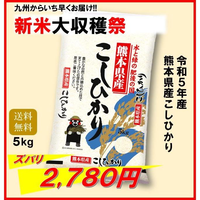 新米　米　お米　５ｋｇ　くまモン　熊本県産　こしひかり　令和５年産　送料無料