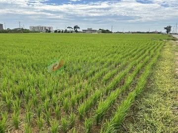 觀音66交流道旁農地｜桃園市觀音區三座屋