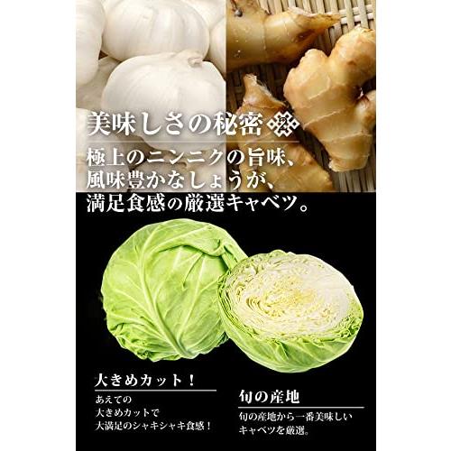 餃子 お取り寄せ 冷凍餃子 大容量 (黒餃子・本餃子セット, 40人前／240個)