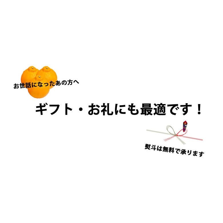 みかん デコポン 光センサー選果 約2kg 送料無料 御歳暮 ギフト DEKOPON  熊本県産  不知火 フルーツ お取り寄せ 蜜柑 ミカン