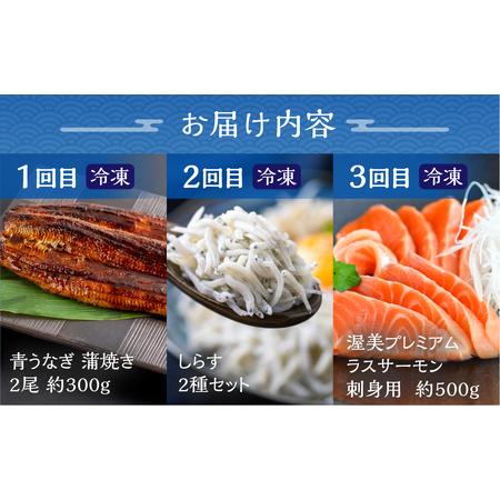 ふるさと納税 渥美半島の恵み 海産物 定期便 3回 海鮮 うなぎ   しらす   サーモン) 鰻 刺身 丼 人気 愛知県 田原市 愛知県田原市