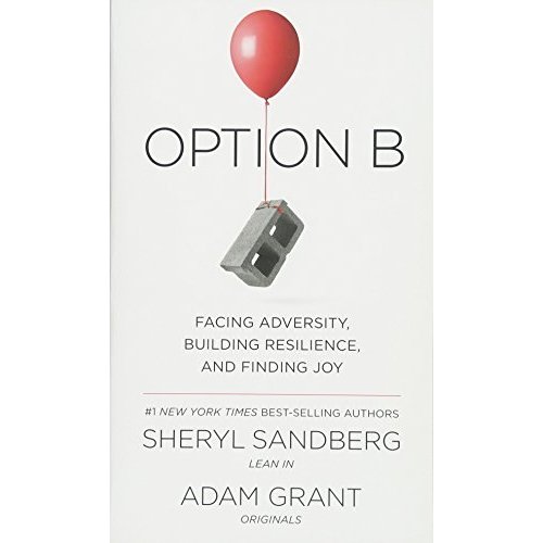 Option B: Facing Adversity  Building Resilience  and Finding Joy