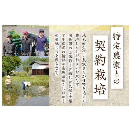 ふるさと納税 新潟県 南魚沼市 契約栽培　雪蔵貯蔵米　南魚沼産こしひかり（2kg×全6回）