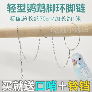 【1572次迴購】鸚鵡腳鏈活扣腳環鳥牽引繩玄鳳虎皮牡丹鳥站架開口腳環栓鳥遛鳥繩