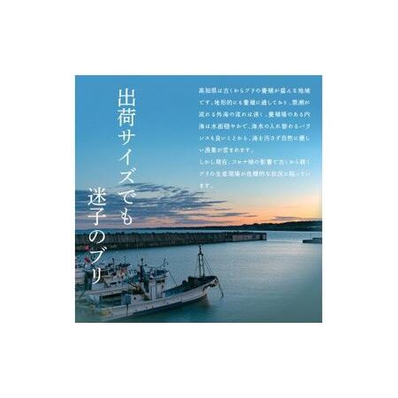 ふるさと納税 海鮮「ブリの漬け丼の素」1食80g×5P＋「マグロの漬け丼の素」1食80g×5P《迷子のブリを食べて応援 養殖生産業者応援プロ.. 高知県芸西村