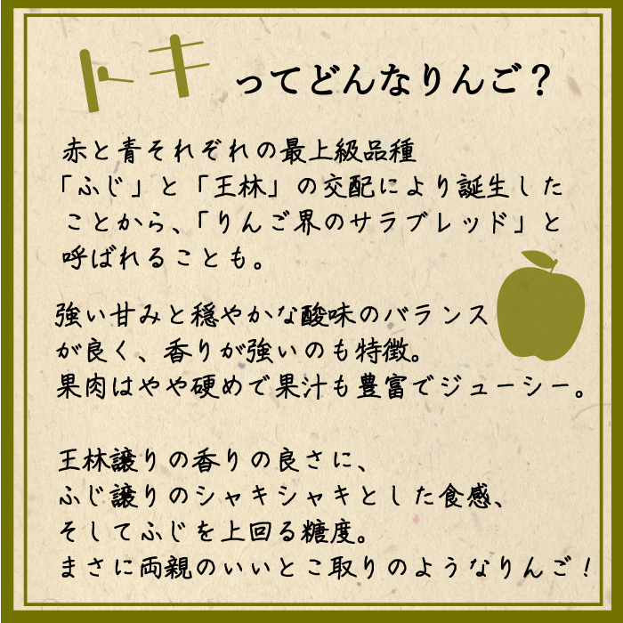 [予約 10月1日～初荷分より順次発送] トキりんご 28玉-32玉（大玉） 10kg 箱 りんご 青森県産 大玉 高糖度