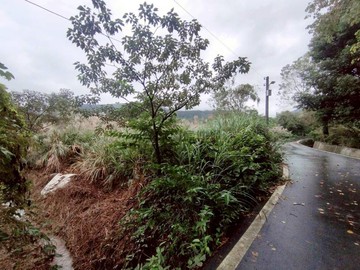 新北市金山區臨路農牧用地~鄰近汪汪地瓜園.｜新北市金山區磺溪頭
