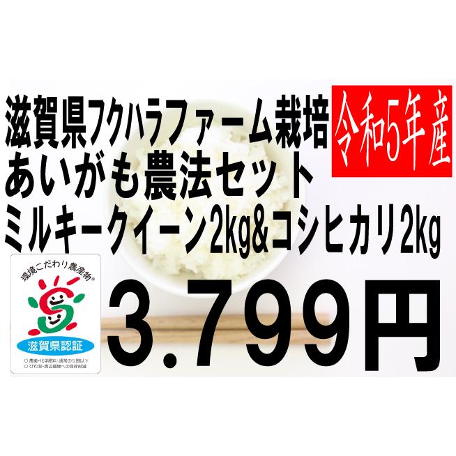 米　令和5年度産　滋賀県産 ミルキークイーン 2kg コシヒカリ2kg