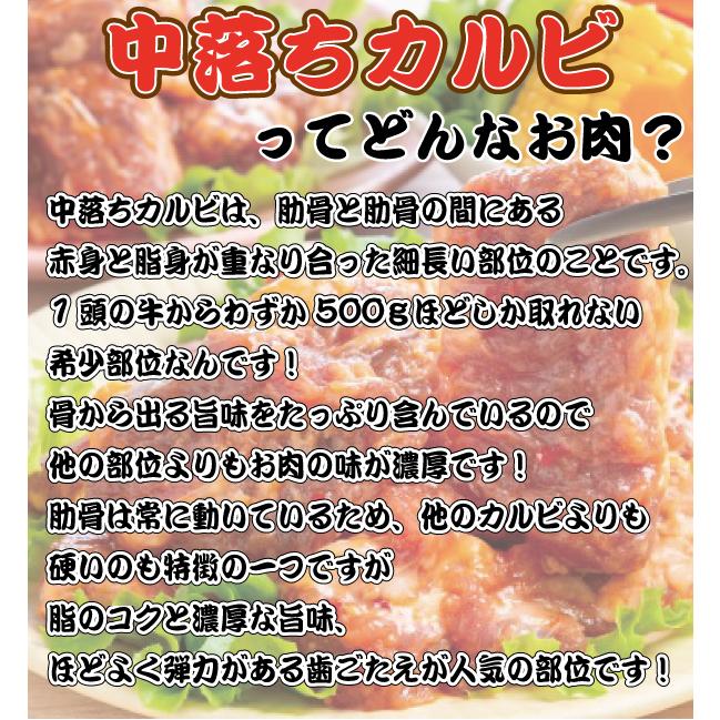 NEW！おてごろ焼肉セット(タレ漬けハラミ・中落ちカルビタレ漬け 合計1.2kg)(お試し BBQ バーベキュー ギフト プレゼントにもどうぞ  お中元 お歳暮)