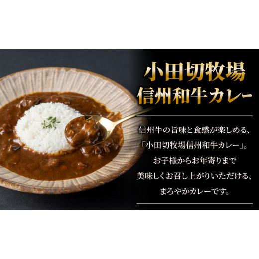 ふるさと納税 長野県 東御市 信州プレミアム牛使用「信州和牛カレー」５個セット（１個1人前160g）