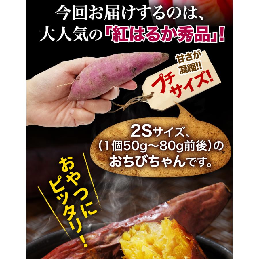 ポイント5倍 鹿児島県産 ぷち紅はるか 5kg サツマイモ 生芋 小さいサイズ  プチ さつまいも 土つき 産地直送 送料無料 S常