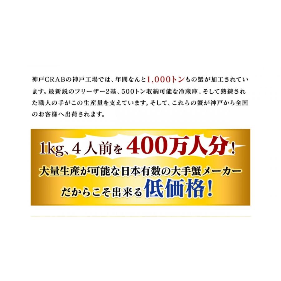 生 ずわいがに 太脚 ポーション 500g 脚 足 ギフト かに カニ 蟹 ズワイガニ ずわい ズワイ