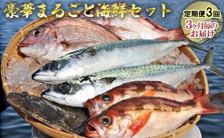 豪華まるごと海鮮セット定期便3回お届け