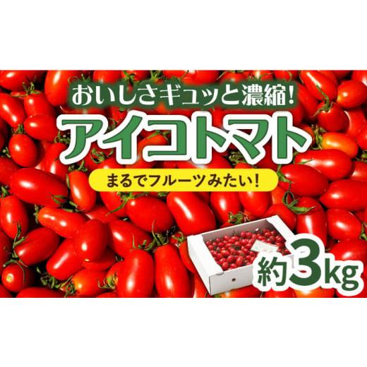 ふるさと納税 長崎県 南島原市 アイコトマト 約3kg 南島原市 ／ とまと トマト 野菜 ／ 長崎県農産品流通合同会社 [SCB052]