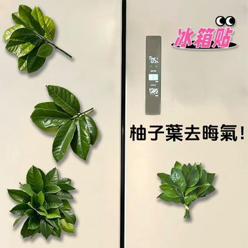 ⭐廚房好物⭐柚子葉去晦氣冰箱貼 磁吸冰箱貼 冰箱貼 吸鐵 冰箱貼 創意造型磁鐵 廚房磁鐵 創意冰箱貼\t\t\t\t\t\t