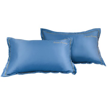 南極人真絲枕套一對裝夏涼冰絲枕頭套外套夏天涼爽男ins雙人夏季