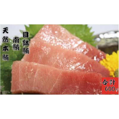 ふるさと納税 三浦市 まぐろ専門店　湊魚問屋プレミアムまぐろセット