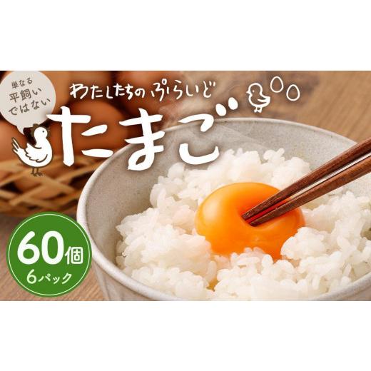 ふるさと納税 神奈川県 川崎市 単なる平飼いではない究極の卵『わたしたちのぷらいどたまご』6パック（60個）セット