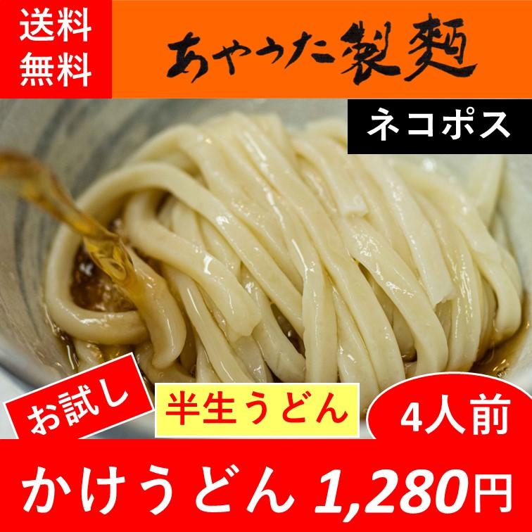 半生うどん・かけ4人前