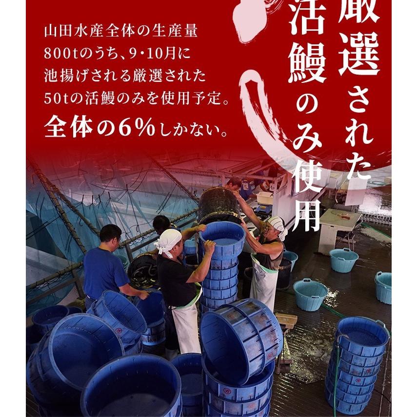 うなぎ 蒲焼き 鰻 国産 鹿児島県産 無投薬 約140g×1尾 化粧箱 ギフト プレゼント お歳暮 御祝い うなぎ蒲焼き ウナギ