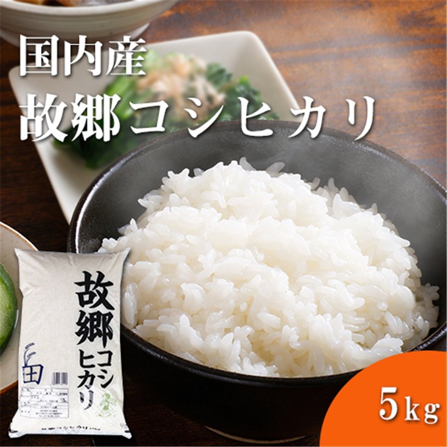 福井精米 令和5年産　国内産　故郷こしひかり精米 コシヒカリ お米 おコメ 白米 5kg