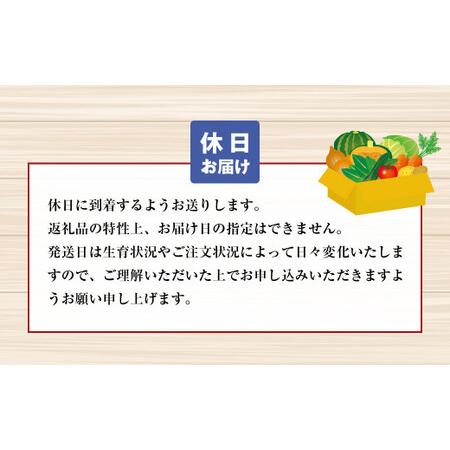 ふるさと納税 淡路島の新鮮野菜セット 兵庫県淡路市