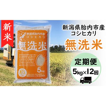 ふるさと納税 16-M05Z新潟県胎内市産コシヒカリ5kg 新潟県胎内市