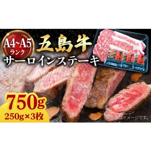 ふるさと納税 長崎県 五島市 やみつき 五島牛 サーロインステーキ 750g（250g×3枚） A4 A5 国産 五島市／肉のマルヒサ [PCV054]