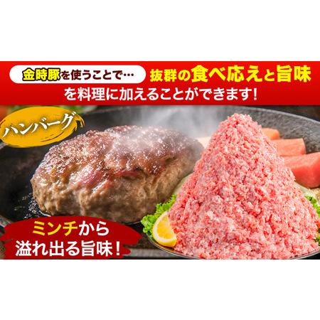 ふるさと納税 豚肉  阿波 金時豚 ミンチ 大容量 3kg アグリガーデン 《30日以内に順次出荷(土日祝除く)》豚肉 ブランド豚 肉 小分けパック 送料.. 徳島県上板町