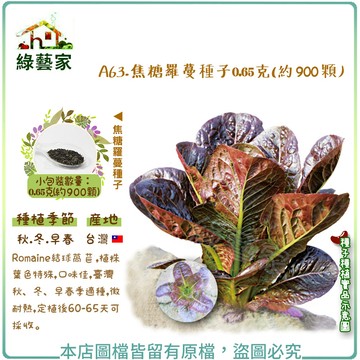 A63.焦糖羅蔓種子0.65克(約900顆)結球萵苣,植株葉色特殊,口味佳,秋、冬、早春季適種,微耐熱葉菜類【綠藝家】