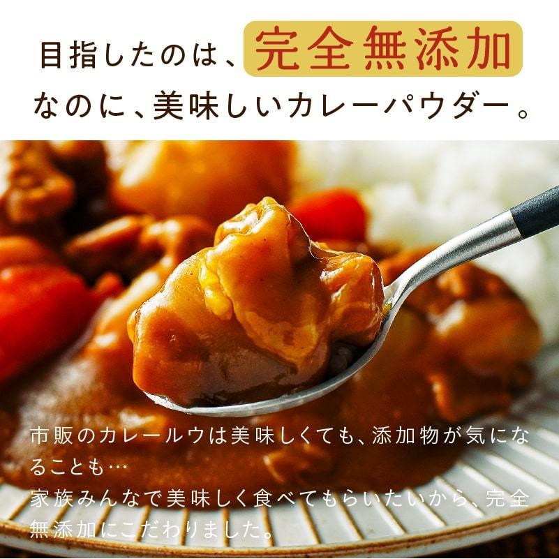 なないろカレー 120g タマチャンショップ×鈴木亜美との共同開発 カレー パウダー 粉末 調味料 添加物 フリー キャンプ飯 有機オーガニックスパイス 送料無料