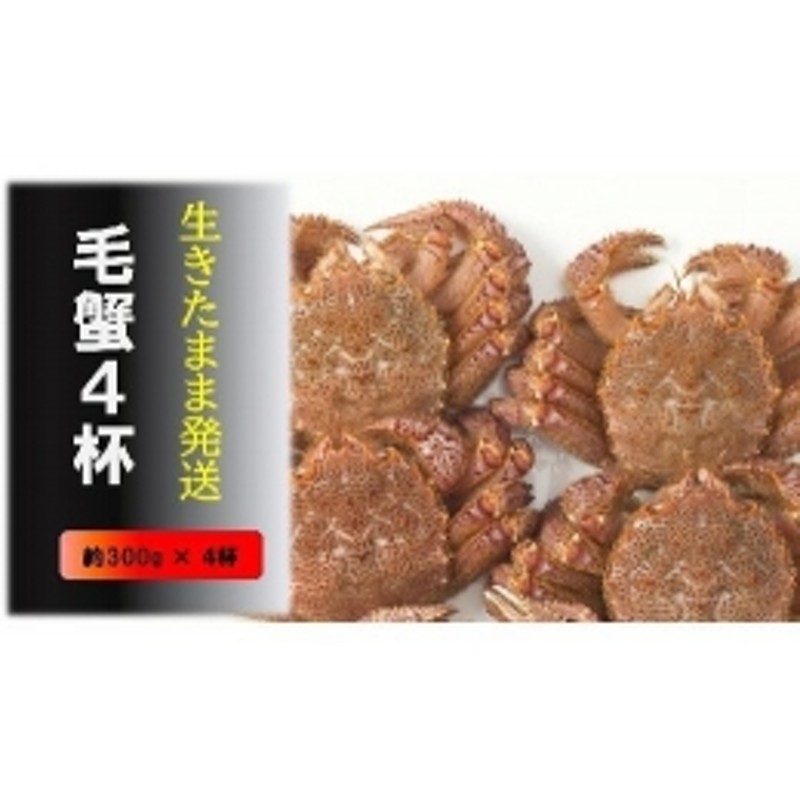 ふるさと納税 岩手県 大槌町 三陸産 活毛ガニ 1kg ( 2〜4杯(尾))先行