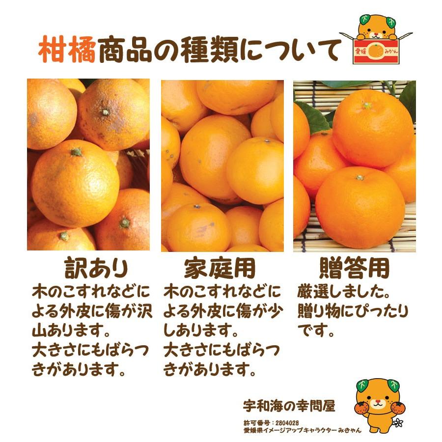 愛媛 みかん 訳あり 10kg 宇和島 吉田産 農地直送 送料無料 北海道 沖縄 東北は別途送料 宇和海の幸問屋