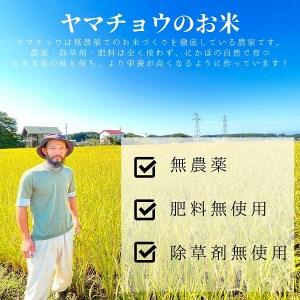 ふるさと納税 ササニシキの親　農薬不使用のササシグレ「郷山のお米」4kg（2kg×2袋）（玄米） 秋田県にかほ市