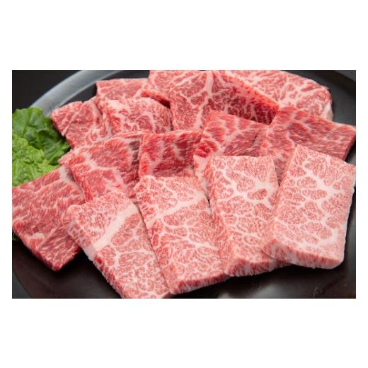 ふるさと納税 山形県 舟形町 焼肉セット（モモ・カタ・カルビ）500g