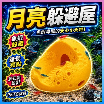 放風水族【月亮躲避屋】 魚缸造景 水族造景 蝦屋 魚蝦躲避屋 異形魚躲藏 觀賞蝦 米蝦 水晶蝦 鬥魚 孔雀魚 繁殖躲藏屋
