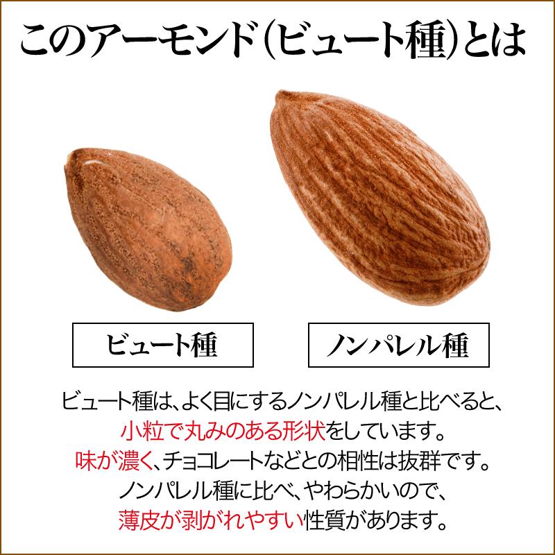 ナッツ グルメ訳あり アーモンド ナッツ 無添加 素焼き アーモンド (ビュート種) 500g×1袋 メール便限定 送料無料 セール