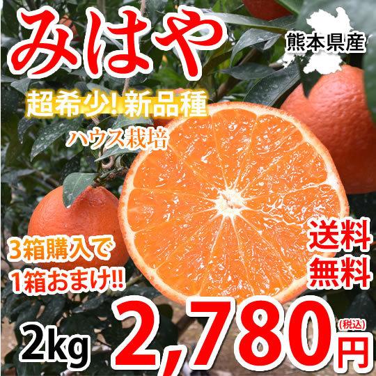 みはや みかん 送料無料 秀品 2kg 3箱購入で1箱おまけ 希少品種 美早 熊本県産 蜜柑 早生みかん ミカン