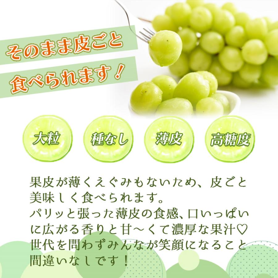 シャインマスカット 1房 約600〜700g 秀品 3〜4L 大房サイズ 贈答 青森県産 マスカット 種なし ぶどう 期間限定 数量限定