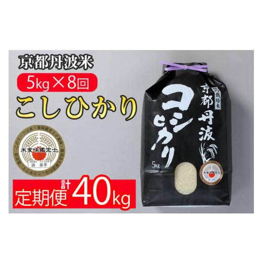 ふるさと納税 京都府 亀岡市 訳あり 定期便 新米 5kg 8ヶ月 京都丹波米 こしひかり 白米 8回定期便 5kg×8回 計40kg ※精米したてをお届け 《緊急支援 米・食…