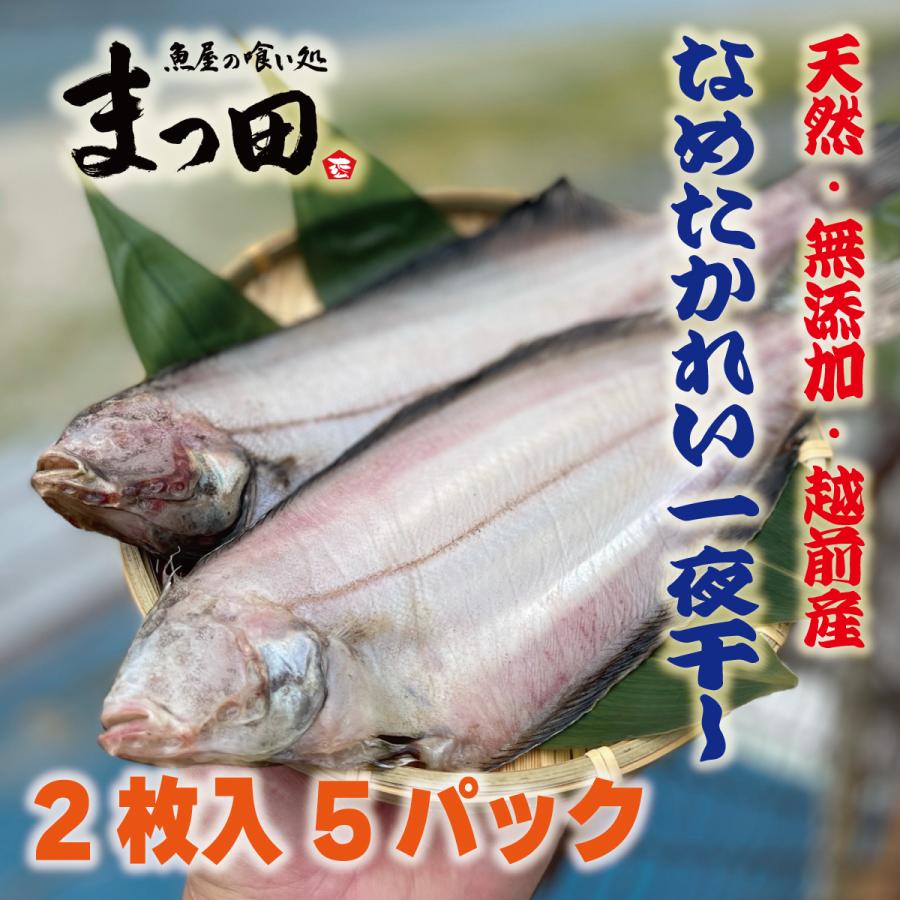 越前産　ナメタガレイ　ひもの　一夜干し　2枚入（約20ｃｍ）　5パック