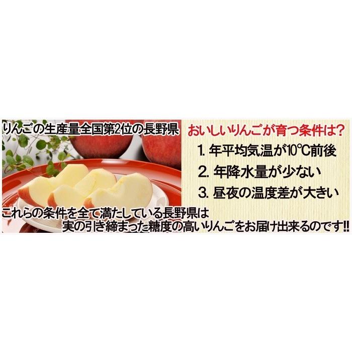 長野県産王林10ｋｇ（28〜36玉）No.753