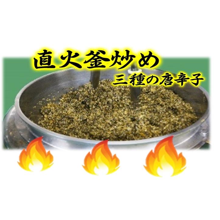 辛子高菜　本場九州産　だし醤油仕立て　高菜漬　たっぷり100g×2袋セット　※3セットで1袋プレゼント！　特産品　ラーメン　炒飯　お試しグルメギフト