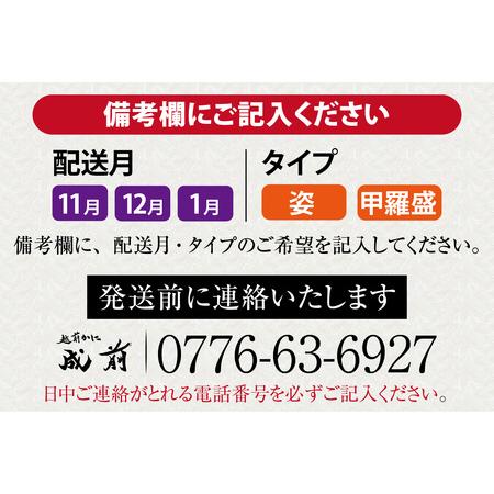 ふるさと納税 美味しさ直送！ せいこがに（220g〜260g）×2杯.. 福井県福井市