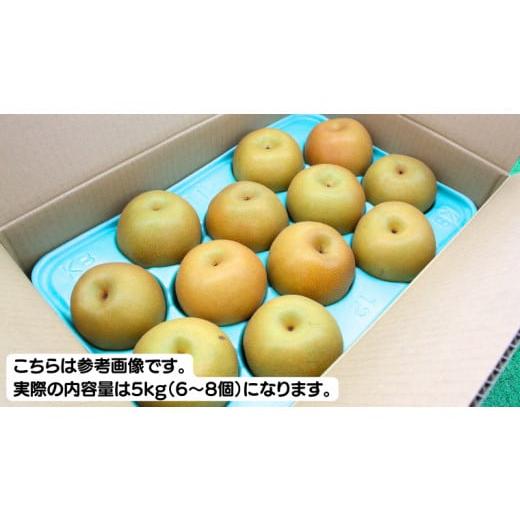 ふるさと納税 茨城県 桜川市  《 優品 》 にっこり梨 約5kg 6玉〜8玉（茨城県共通返礼品／かすみがうら市) 鈴木農園 産地直送 フルーツ 甘い  …