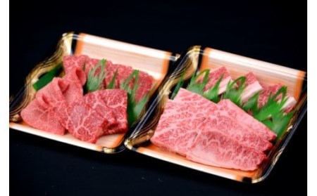 鳥取和牛　焼肉用カルビ　合計500g