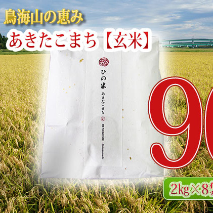 《定期便》16kg×6ヶ月 秋田県産 あきたこまち 玄米 2kg×8袋 神宿る里の米「ひの米」（お米 小分け）