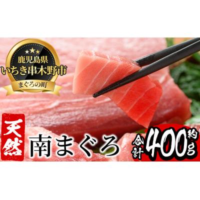 ふるさと納税 いちき串木野市 天然南まぐろ中トロダブル　約400g　中トロ200gを2柵皮付きで　